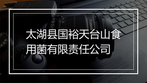 太湖县国裕天台山食用菌有限责任公司