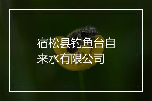 宿松县钓鱼台自来水有限公司