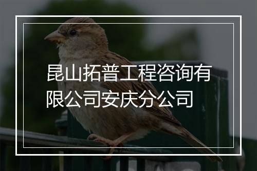 昆山拓普工程咨询有限公司安庆分公司