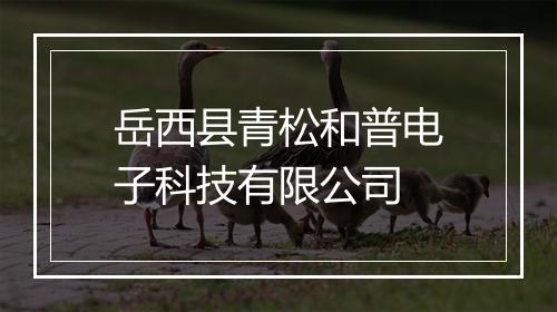岳西县青松和普电子科技有限公司