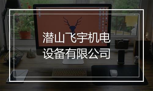 潜山飞宇机电设备有限公司
