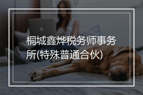 桐城鑫烨税务师事务所(特殊普通合伙)
