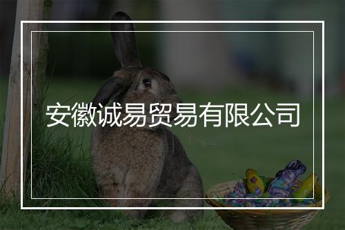 安徽诚易贸易有限公司