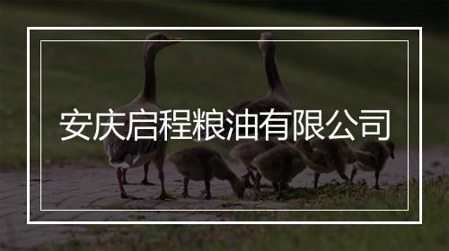 安庆启程粮油有限公司