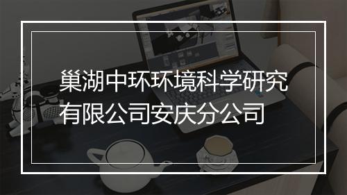 巢湖中环环境科学研究有限公司安庆分公司