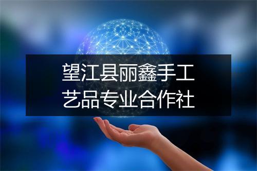 望江县丽鑫手工艺品专业合作社