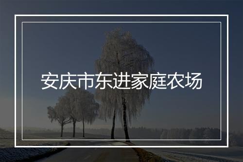 安庆市东进家庭农场
