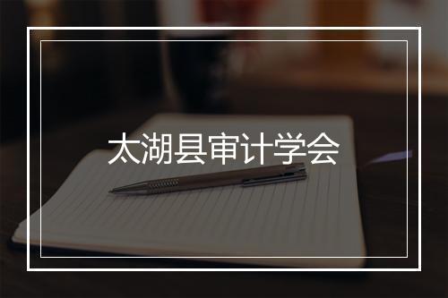 太湖县审计学会