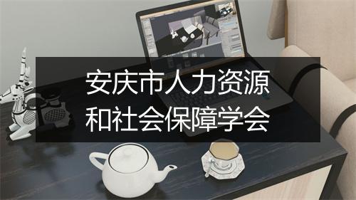 安庆市人力资源和社会保障学会