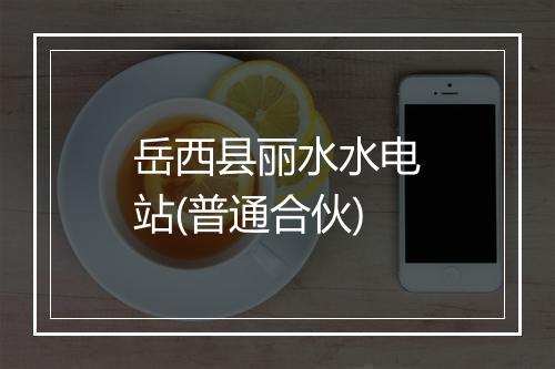 岳西县丽水水电站(普通合伙)
