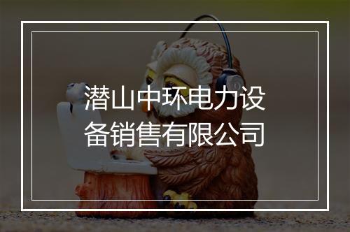 潜山中环电力设备销售有限公司