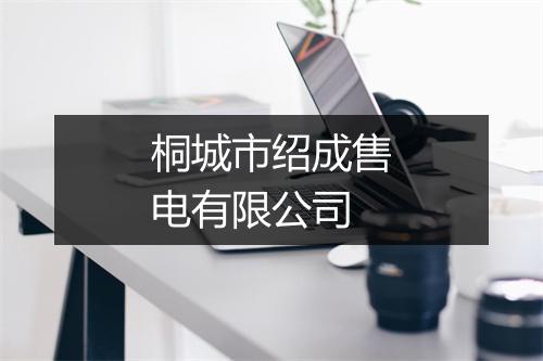 桐城市绍成售电有限公司