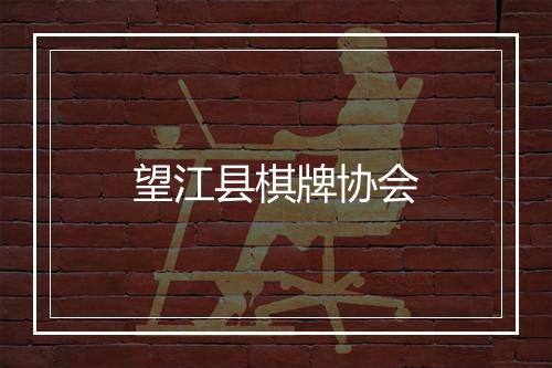 望江县棋牌协会