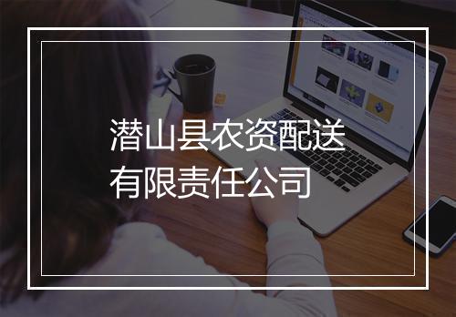 潜山县农资配送有限责任公司