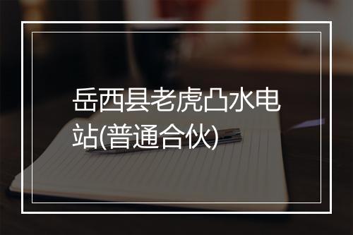 岳西县老虎凸水电站(普通合伙)