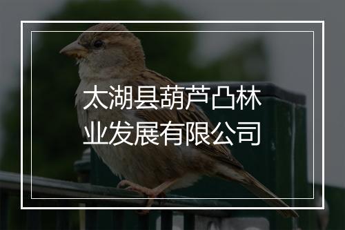 太湖县葫芦凸林业发展有限公司