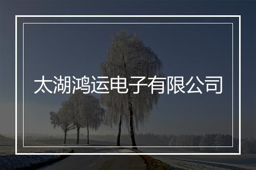 太湖鸿运电子有限公司