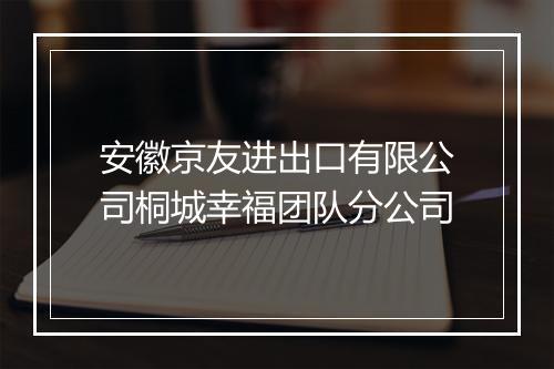安徽京友进出口有限公司桐城幸福团队分公司