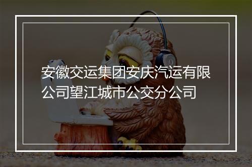 安徽交运集团安庆汽运有限公司望江城市公交分公司
