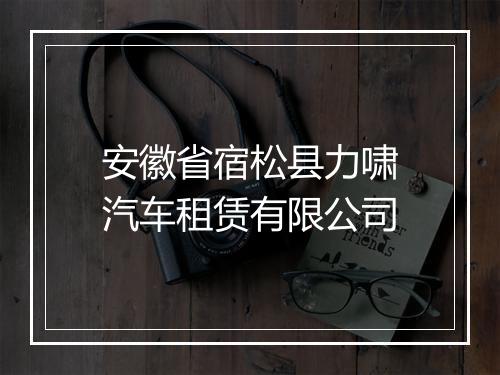 安徽省宿松县力啸汽车租赁有限公司