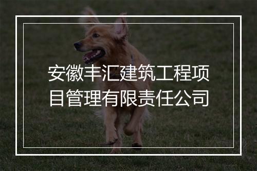 安徽丰汇建筑工程项目管理有限责任公司