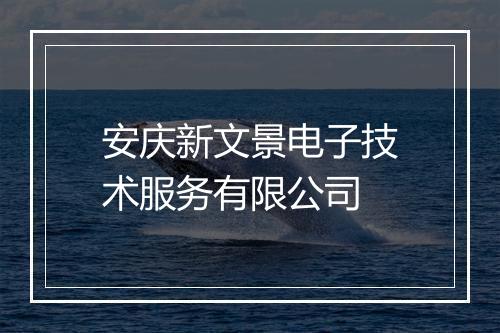 安庆新文景电子技术服务有限公司