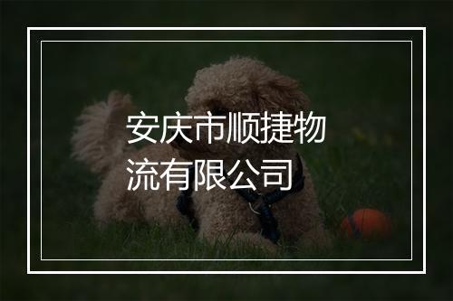 安庆市顺捷物流有限公司
