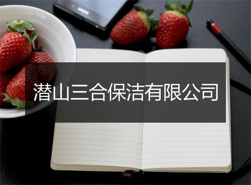 潜山三合保洁有限公司