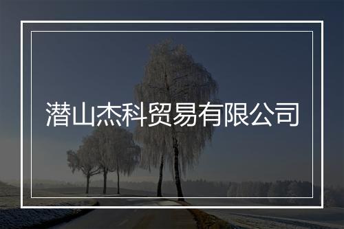 潜山杰科贸易有限公司