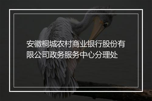 安徽桐城农村商业银行股份有限公司政务服务中心分理处