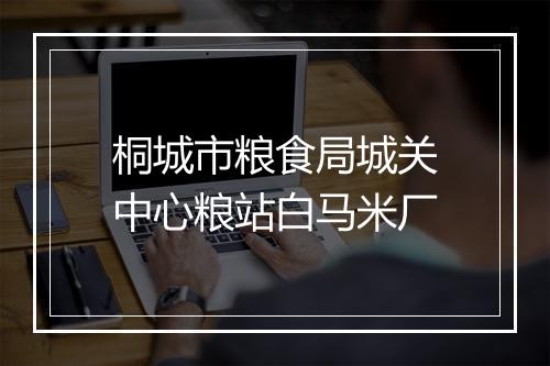 桐城市粮食局城关中心粮站白马米厂
