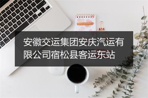 安徽交运集团安庆汽运有限公司宿松县客运东站