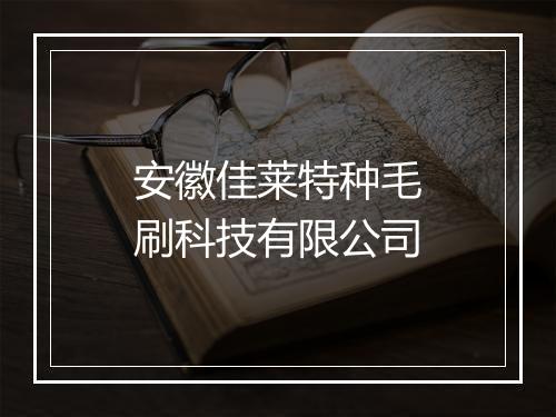 安徽佳莱特种毛刷科技有限公司