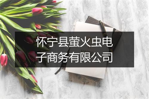 怀宁县萤火虫电子商务有限公司
