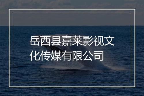 岳西县嘉莱影视文化传媒有限公司