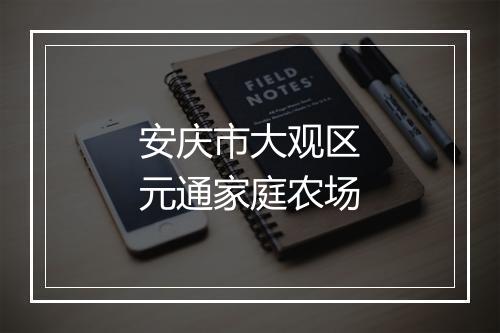 安庆市大观区元通家庭农场