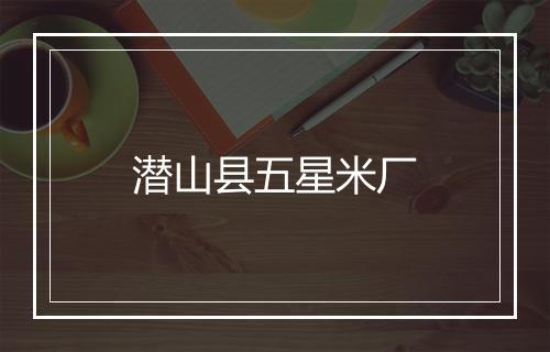 潜山县五星米厂