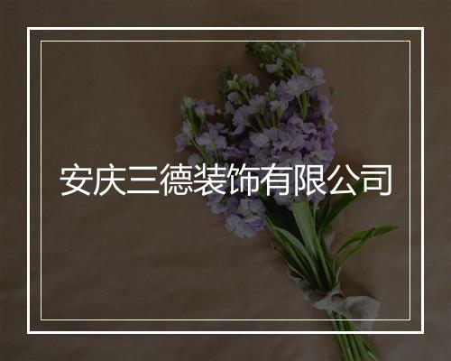 安庆三德装饰有限公司