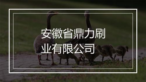 安徽省鼎力刷业有限公司