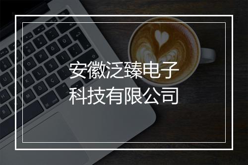 安徽泛臻电子科技有限公司