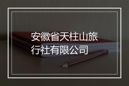 安徽省天柱山旅行社有限公司