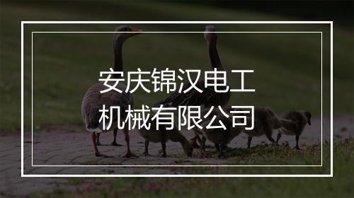 安庆锦汉电工机械有限公司