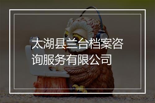 太湖县兰台档案咨询服务有限公司