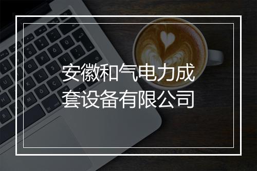 安徽和气电力成套设备有限公司
