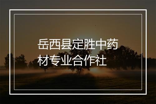 岳西县定胜中药材专业合作社