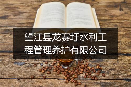 望江县龙赛圩水利工程管理养护有限公司