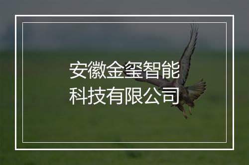 安徽金玺智能科技有限公司