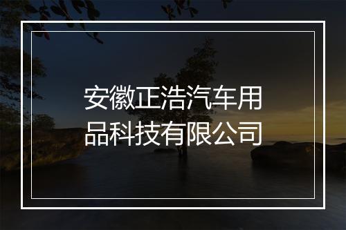 安徽正浩汽车用品科技有限公司