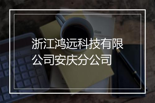浙江鸿远科技有限公司安庆分公司
