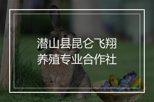 潜山县昆仑飞翔养殖专业合作社
